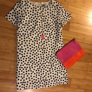 J crew Navy dot shift dress